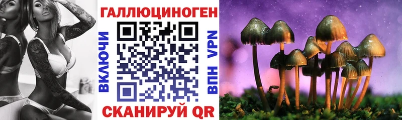 Купить закладки  Анива  Галлюциногенные грибы GOLDEN TEACHER 